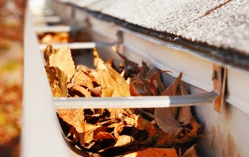 Crindau gutter cleaning companies