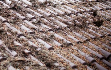 Crindau roof cleaning companies