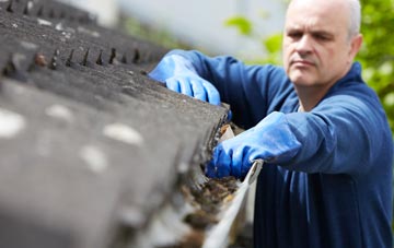 cleaning and inspecting Crindau roofs
