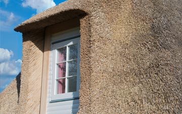Crindau thatch roof disadvantages