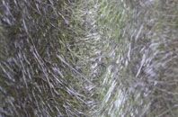 Crindau fibreglass roof work